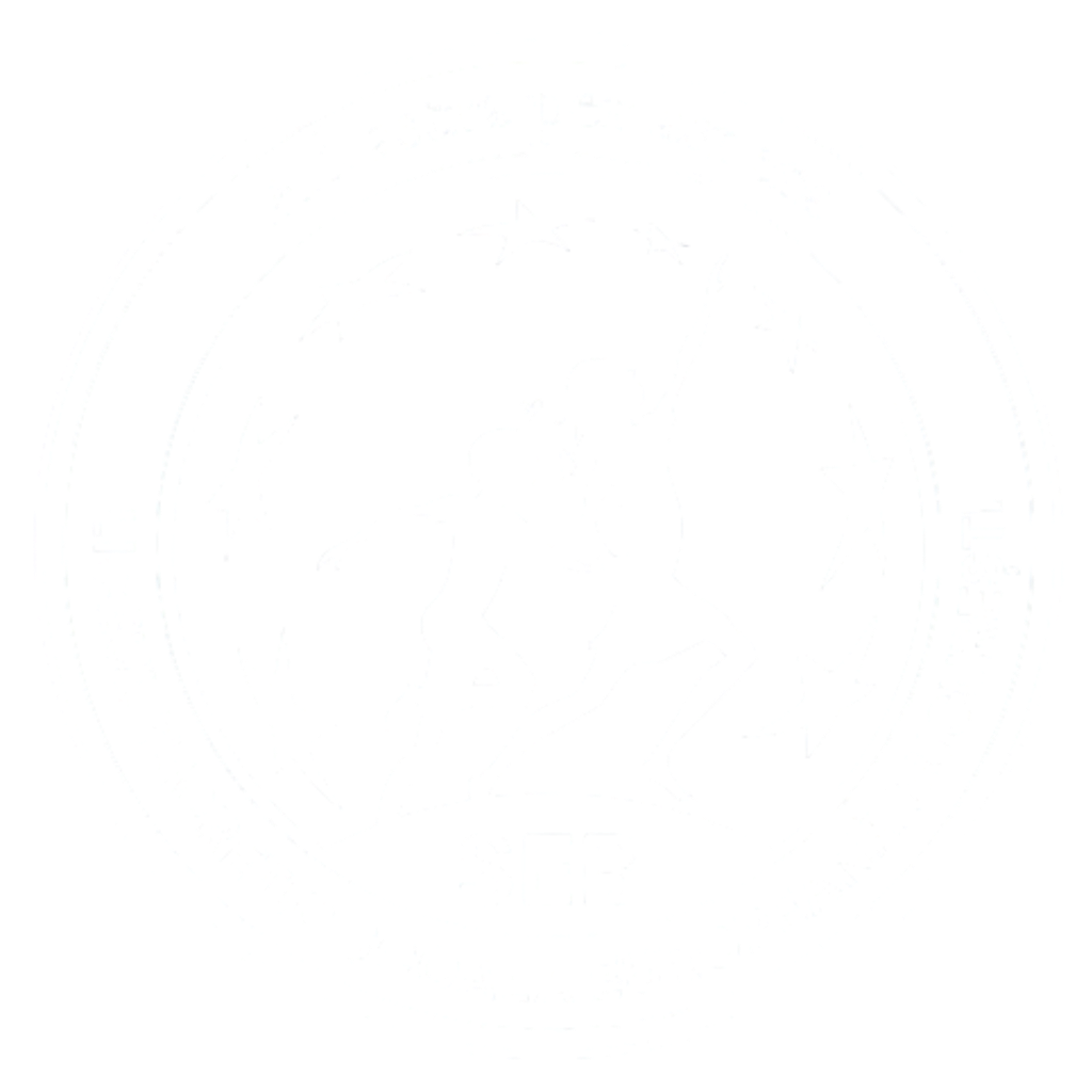 Școala Europeană București